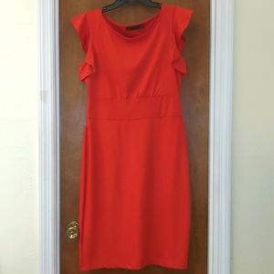 The Limited Burnt Orange Dress